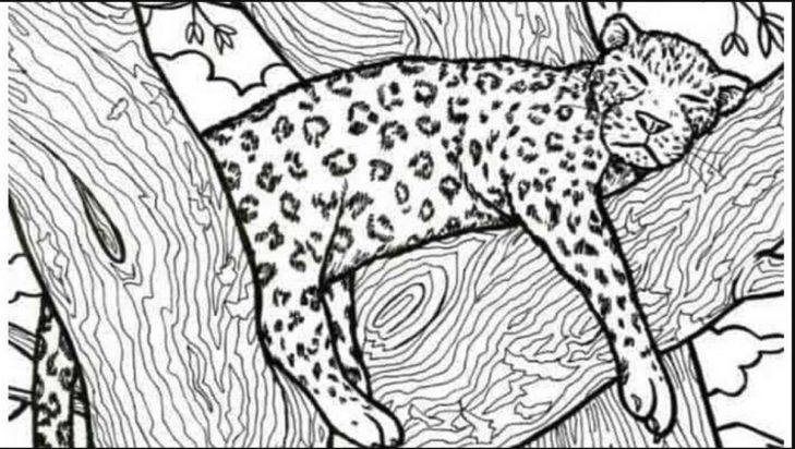 οπτική ψευδαίσθηση