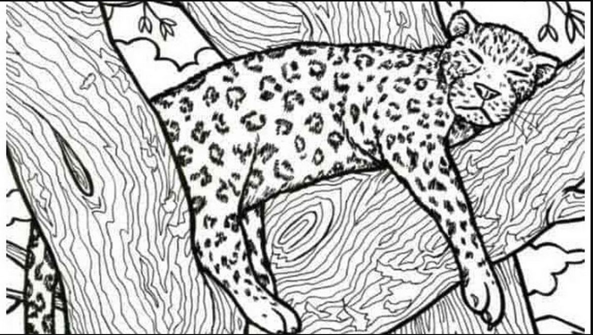 οπτική ψευδαίσθηση