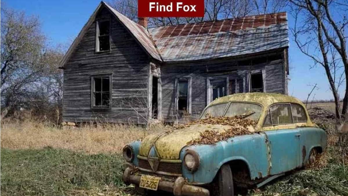 οπτική ψευδαίσθηση