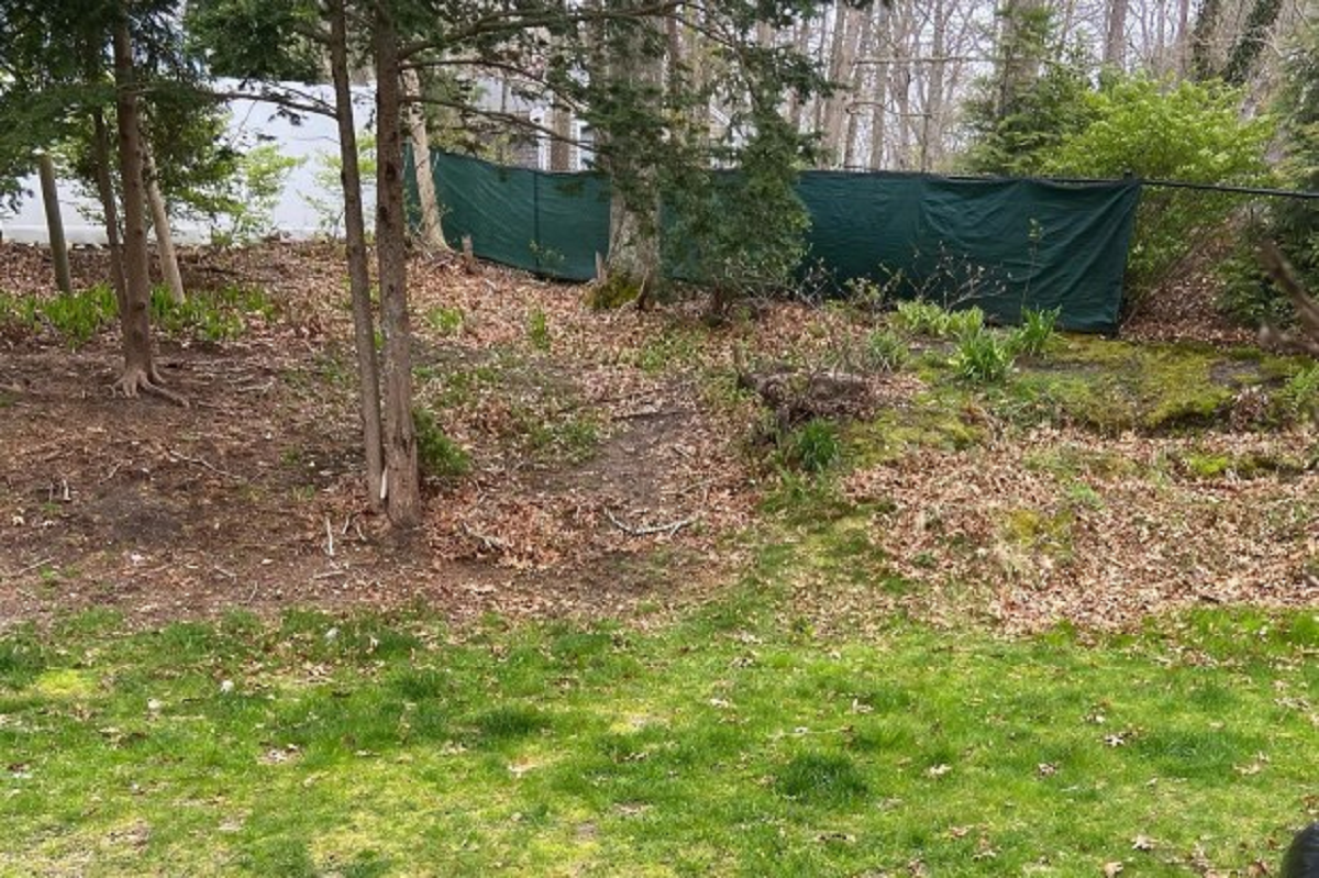 Οπτική ψευδαίσθηση: Κανείς δεν βλέπει το κανίς – Μπορείς να το βρεις σε 15 δευτερόλεπτα;