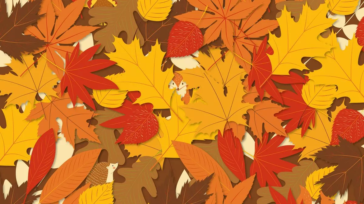 Φθινοπωρινή οπτική ψευδαίσθηση: Βρείτε τα κρυμμένα ζώα ανάμεσα στα φύλλα μέσα σε 10 δευτερόλεπτα