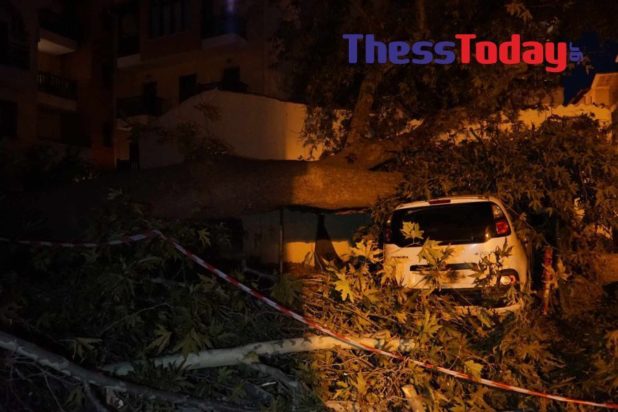 Θεσσαλονίκη πτώση δέντρου