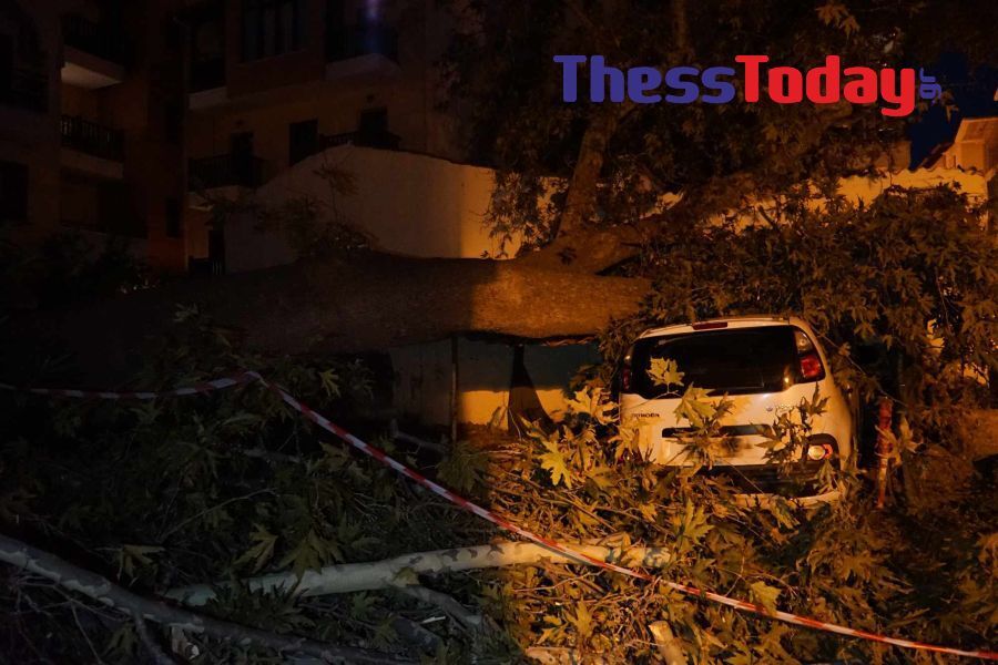 Θεσσαλονίκη πτώση δέντρου