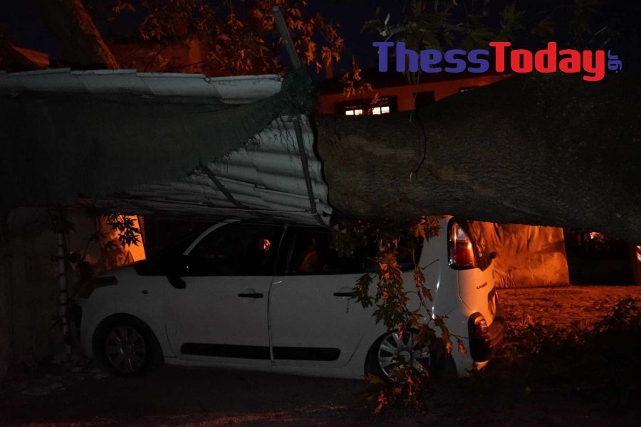 Θεσσαλονίκη πτώση δέντρου