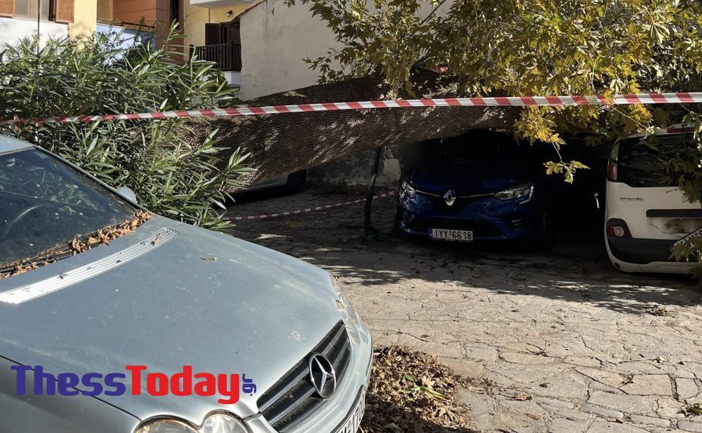 Θεσσαλονίκη πτώση δέντρου