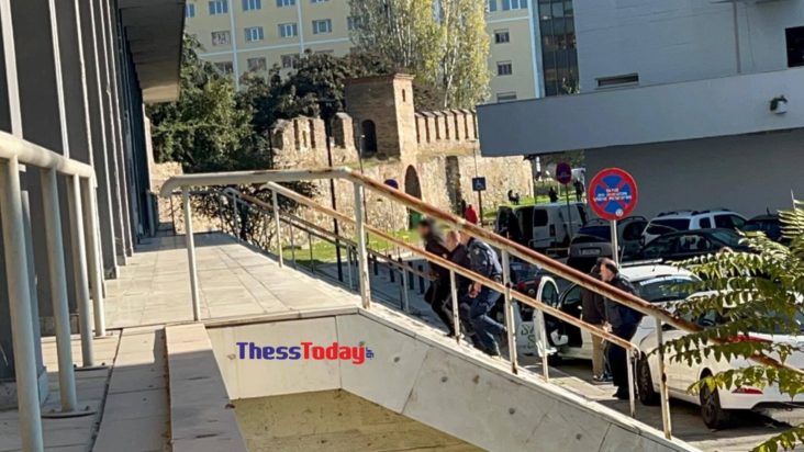 Θεσσαλονίκη: Κακουργηματική δίωξη στον 37χρονο ιδιοκτήτη των σκύλων που επιτέθηκαν μέχρι θανάτου στην 50χρονη