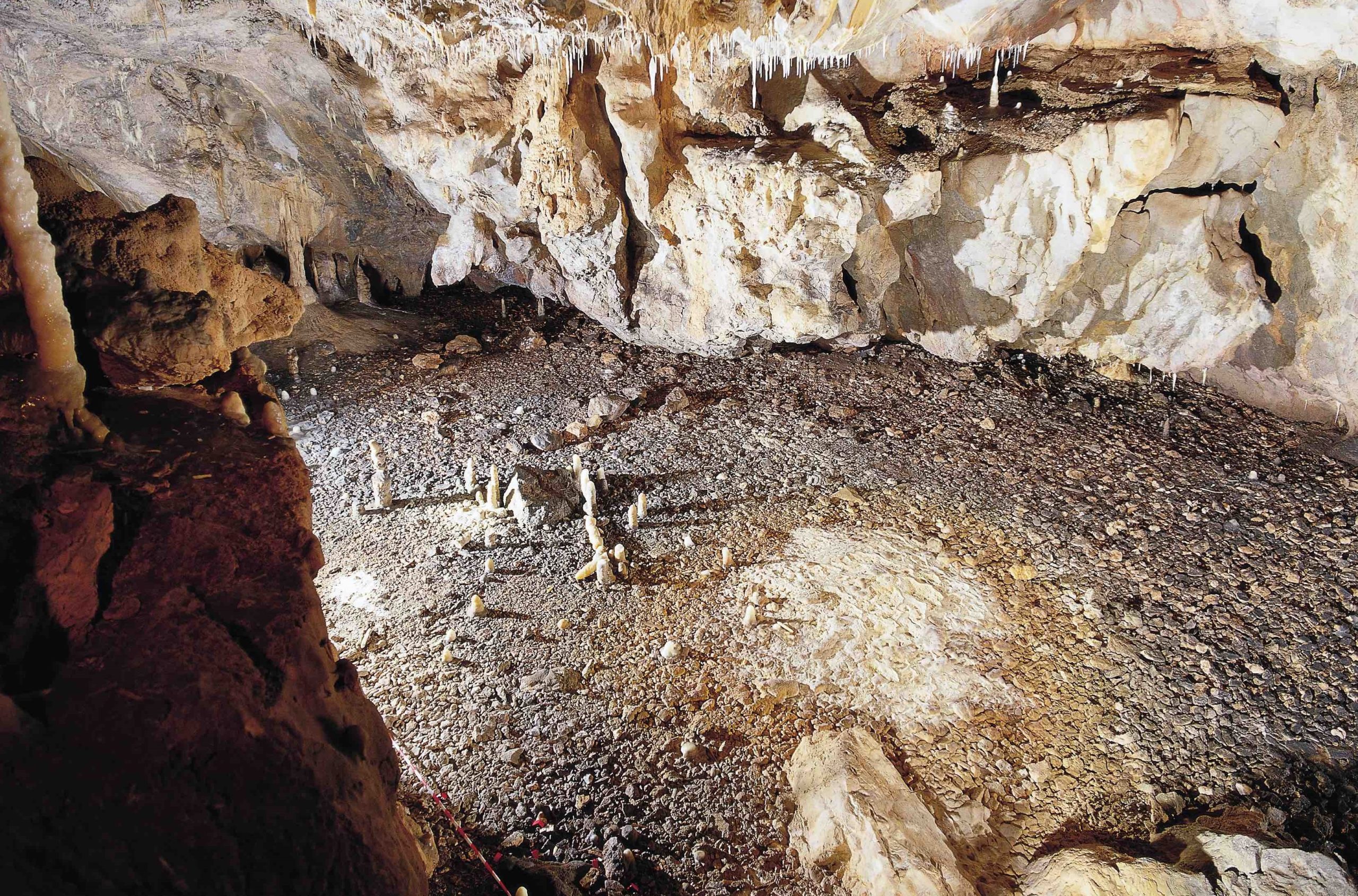 Αρχαιολόγοι ανακάλυψαν προϊστορική κατοικία 16.800 ετών – Τα μυστικά της «χρονοκάψουλας» στην σκοτεινή σπηλιά