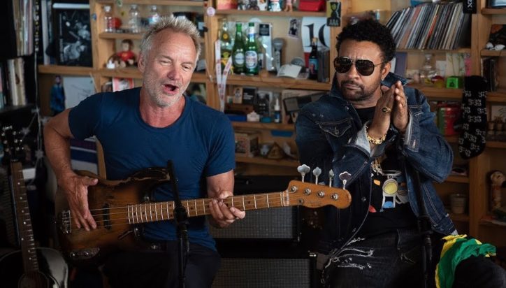Tiny Desk Concerts Sting Shaggy