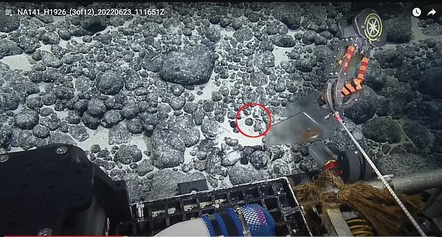 Οι επιστήμονες χρησιμοποιούσαν ένα τηλεχειριζόμενο όχημα