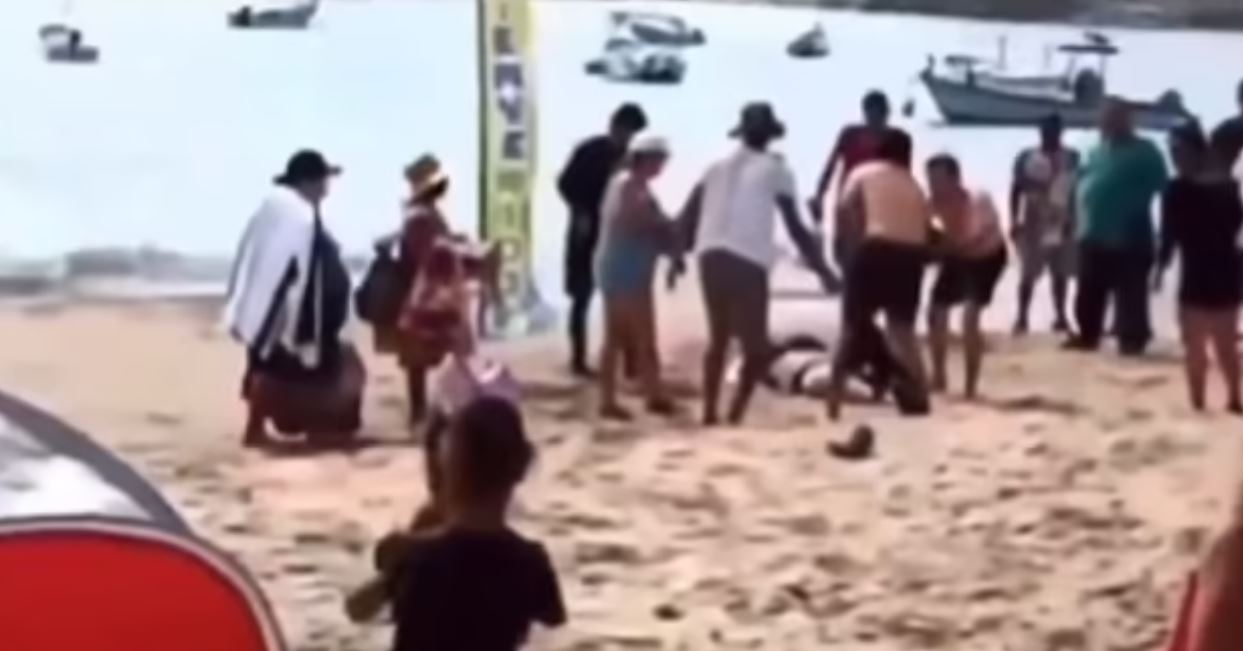 Καρχαρίας κατασπάραξε γυναίκα μπροστά στα μάτια της 5χρονης κόρης της – Βίντεο-σοκ