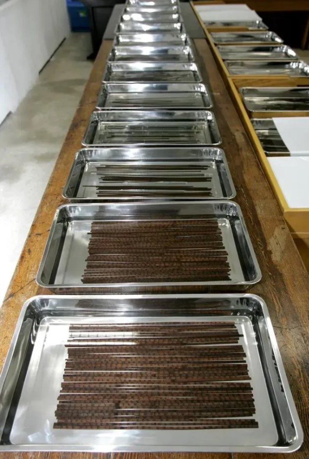 Κίνα μπαμπού slips