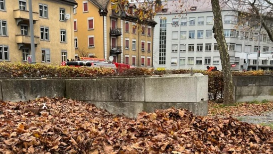 Οπτική ψευδαίσθηση: Μόνο όσοι έχουν τέλεια όραση μπορούν να βρουν τον σκύλο σε 15 δευτερόλεπτα