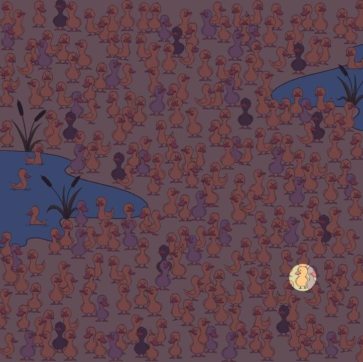 Οπτική ψευδαίσθηση κοτοπουλάκι λύση