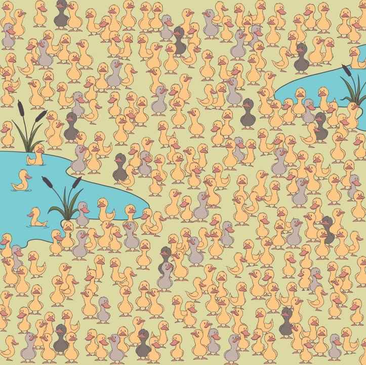 Οπτική ψευδαίσθηση κοτοπουλάκι