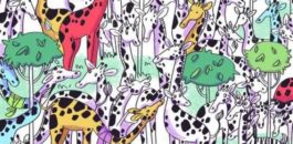 Οπτική ψευδαίσθηση ζέβρα