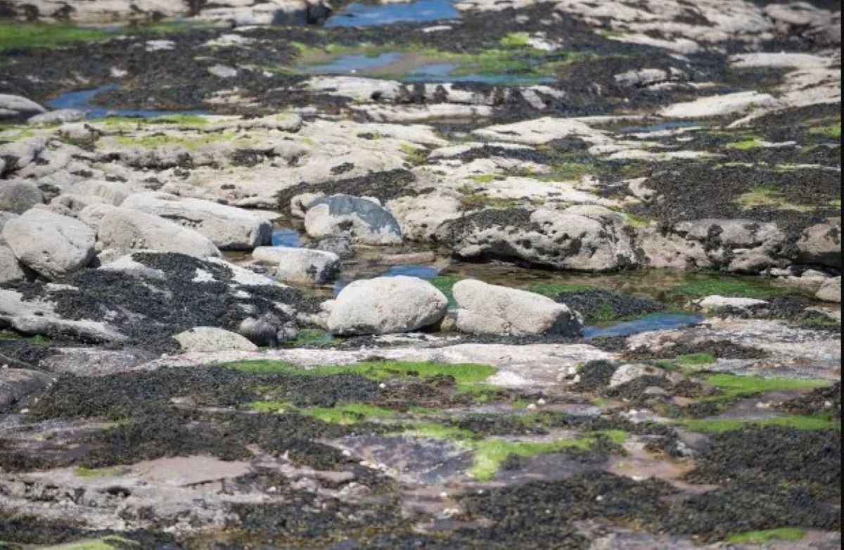 Οπτική ψευδαίσθηση