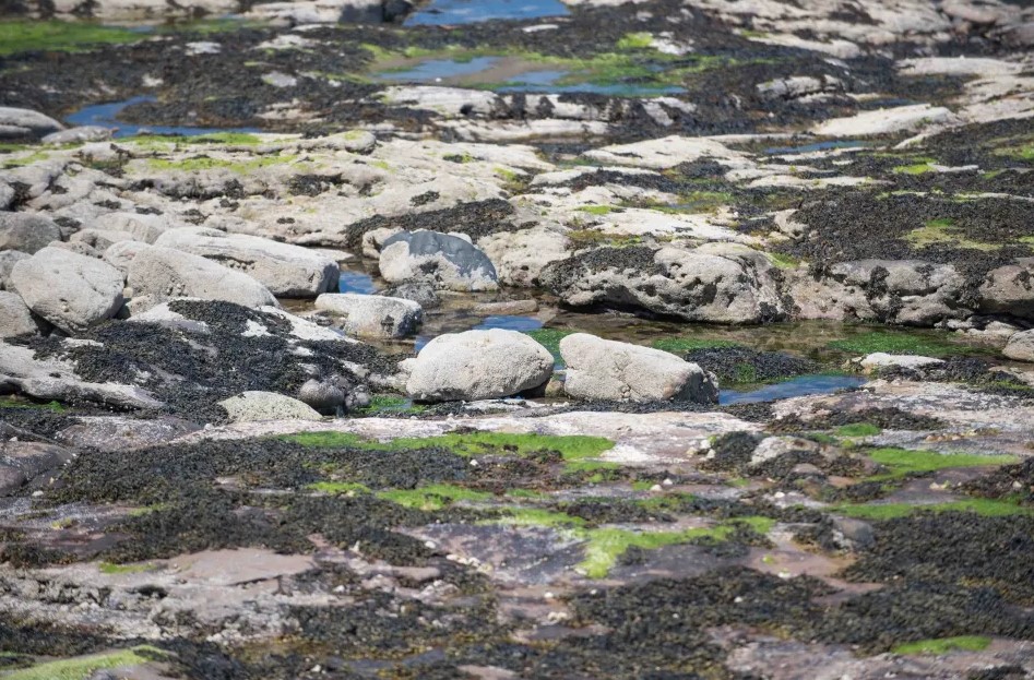 Οπτική ψευδαίσθηση