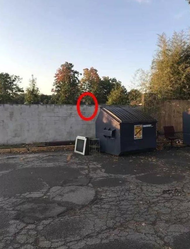 Οπτική ψευδαίσθηση