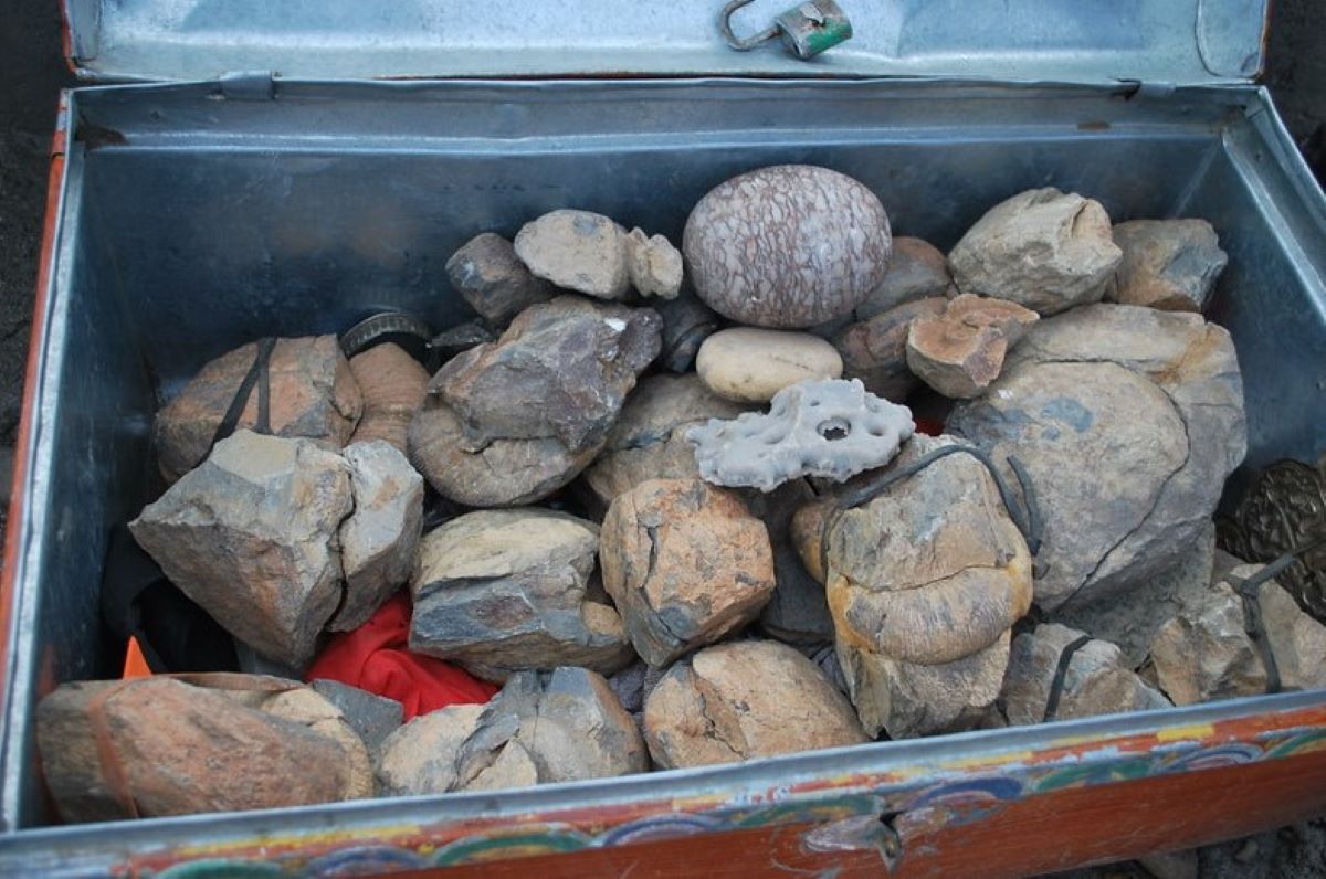 Η συγκλονιστική αποκάλυψη για την δημιουργία του Έβερεστ – Γιατί βρέθηκαν όστρακα στην κορυφή