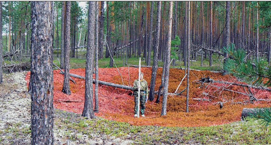 Φρούριο 8.000 ετών που ανακαλύφθηκε στη Σιβηρία είναι το αρχαιότερο στον κόσμο – Η ανατροπή στα όσα γνωρίζαμε έως σήμερα