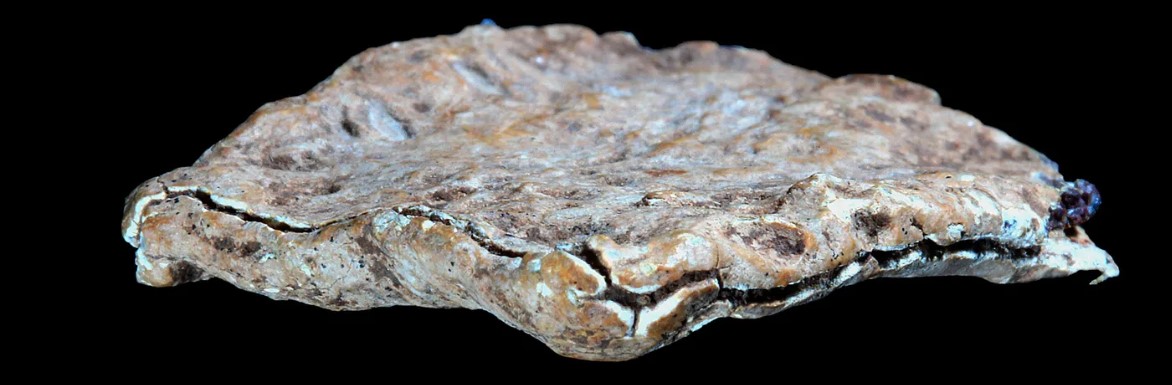 πλάκα της κατάρας