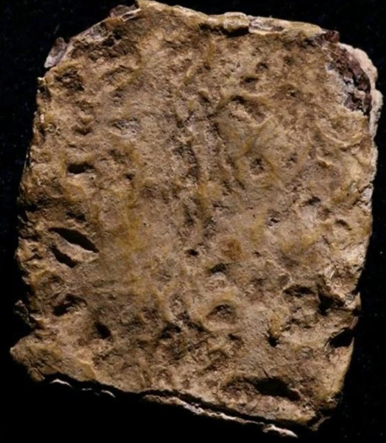 πλάκα της κατάρας