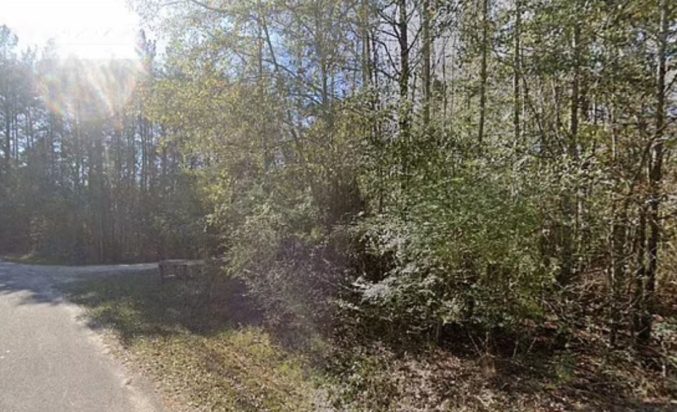 Νεκρός 11χρονος σε κυνήγι κουνελιών