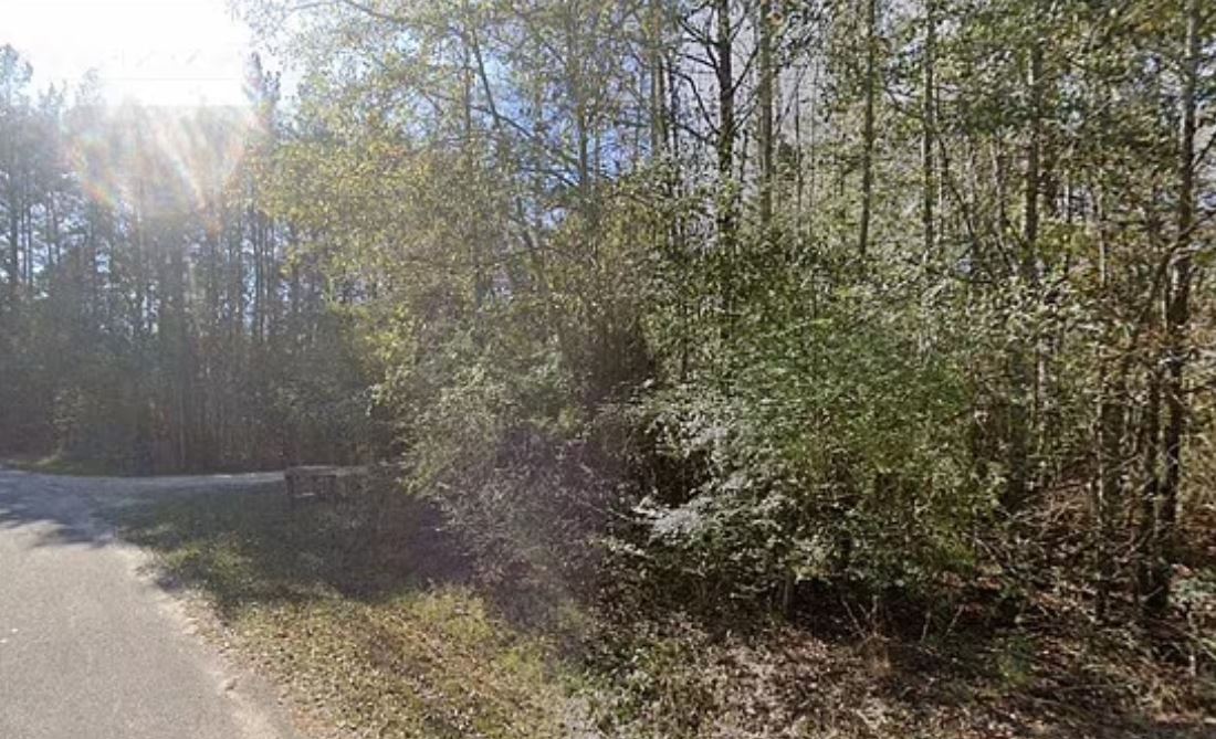 Νεκρός 11χρονος σε κυνήγι κουνελιών