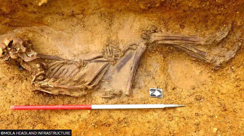 Τα λαγωνικά του DNA έλυσαν το μυστήριο με σκελετό 2000 ετών