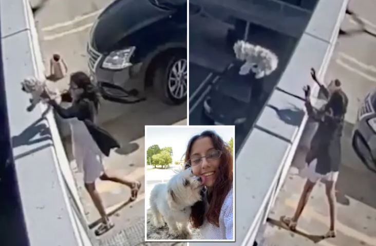 Πέταξε τον σκύλο της από την ταράτσα – Βίντεο από κάμερα ασφαλείας