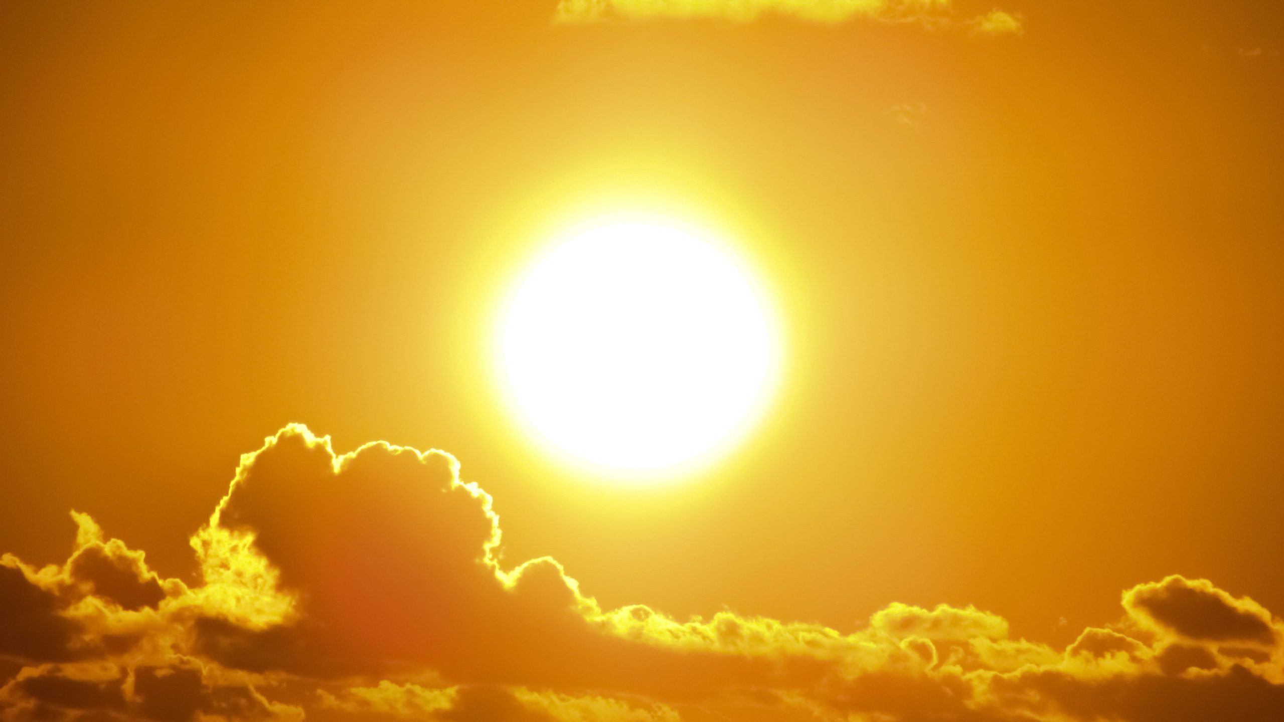 Τα «παράδοξα» του καιρού: Σπάνε ρεκόρ οι θερμοκρασίες κάθε μήνα – Το 2023 η πιο θερμή χρονιά στην ιστορία