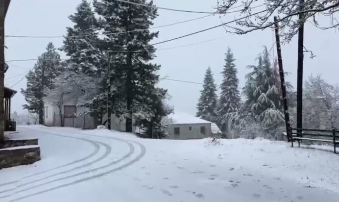 Καιρός: Κύμα ψύχους από σήμερα