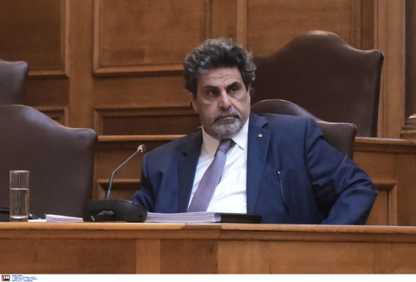 Χαλκιάς - Εμπειρογνώμονας