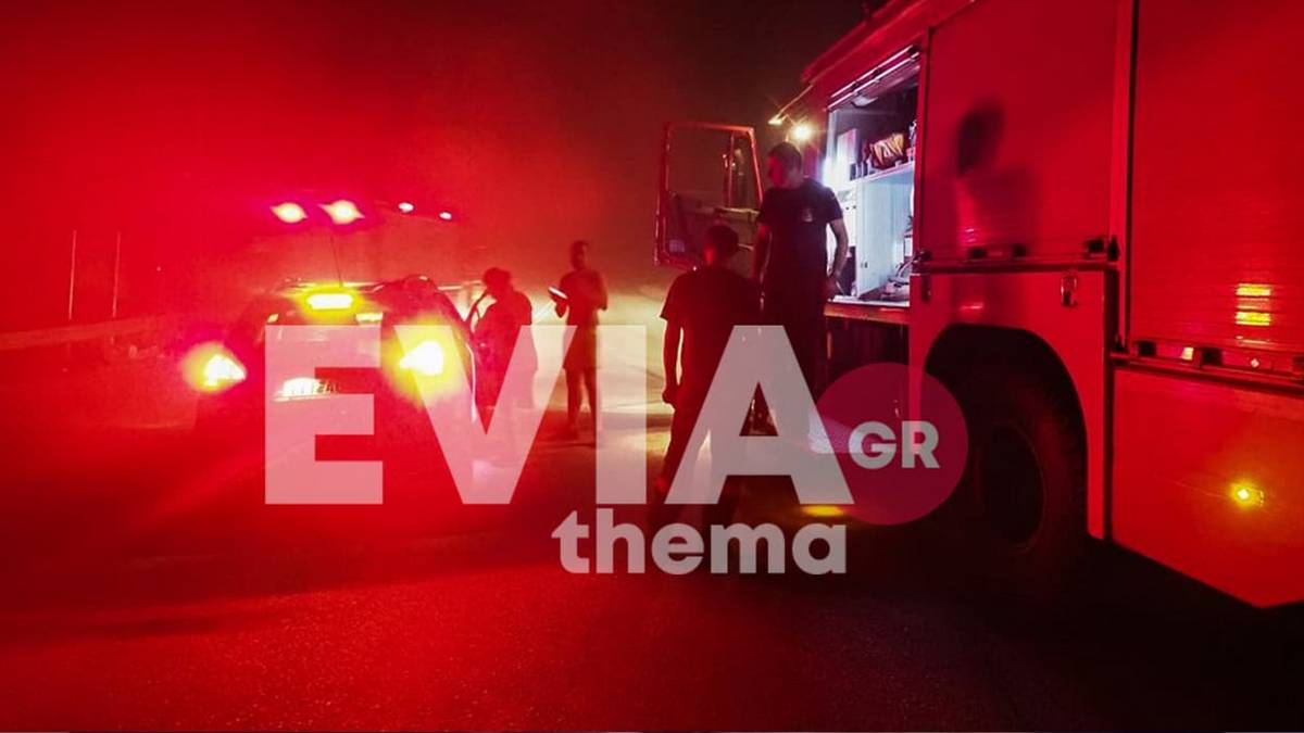 Εύβοια: Συναγερμός στην Πυροσβεστική για δύο αγνοούμενες γυναίκες