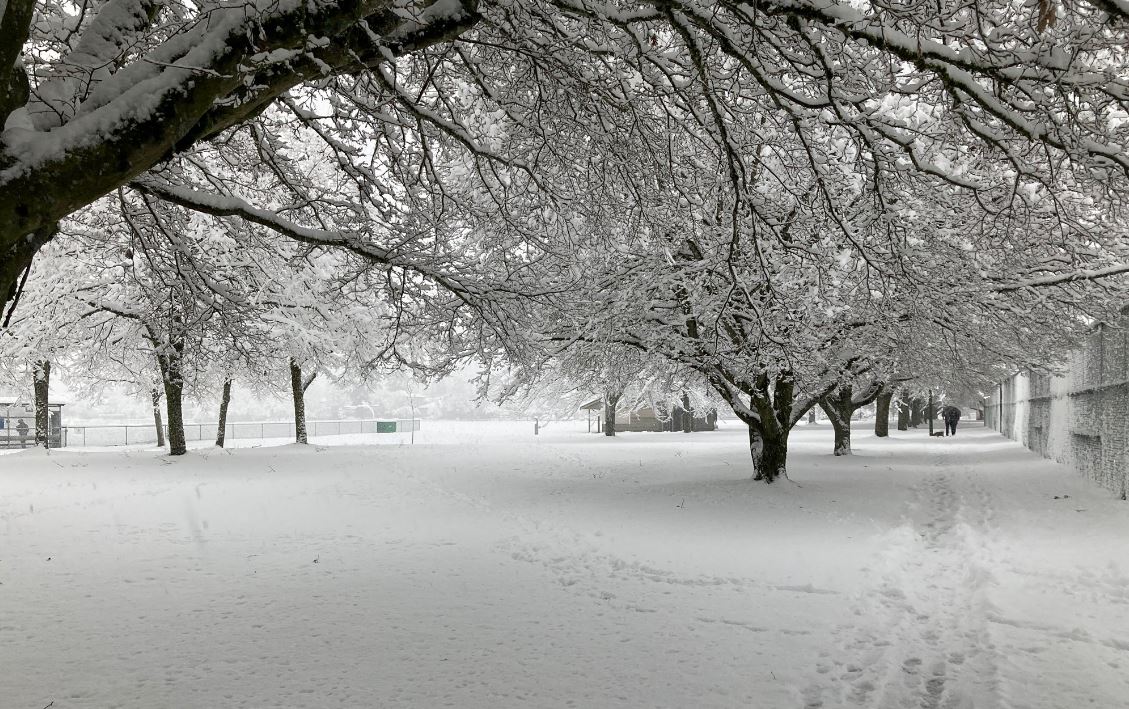 Καναδάς: Σφοδρή χιονοθύελλα στο Βανκούβερ – Ματαιώθηκαν 50 πτήσεις, κλειστά τα σχολεία – ΦΩΤΟ και ΒΙΝΤΕΟ