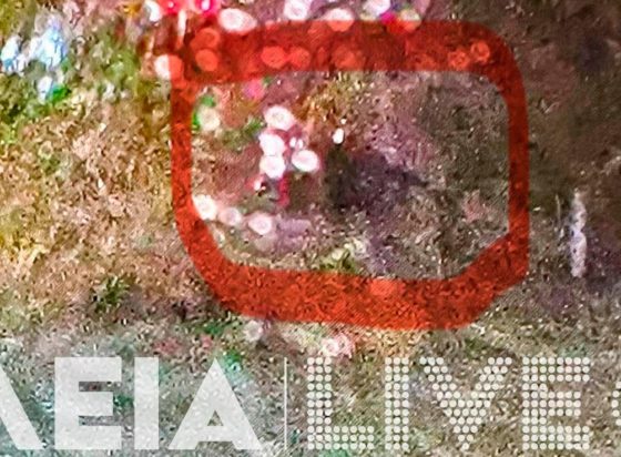 Ηλεία: Το αυτοκίνητο πριν χαθεί στον χείμαρρο