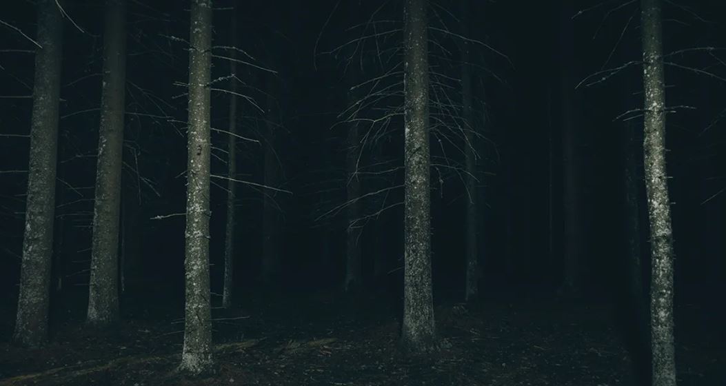 Η υπόθεση του σκοτεινού δάσους που εξηγεί γιατί δεν εμφανίζονται οι εξωγήινοι έχει τρομοκρατήσει τους ανθρώπους