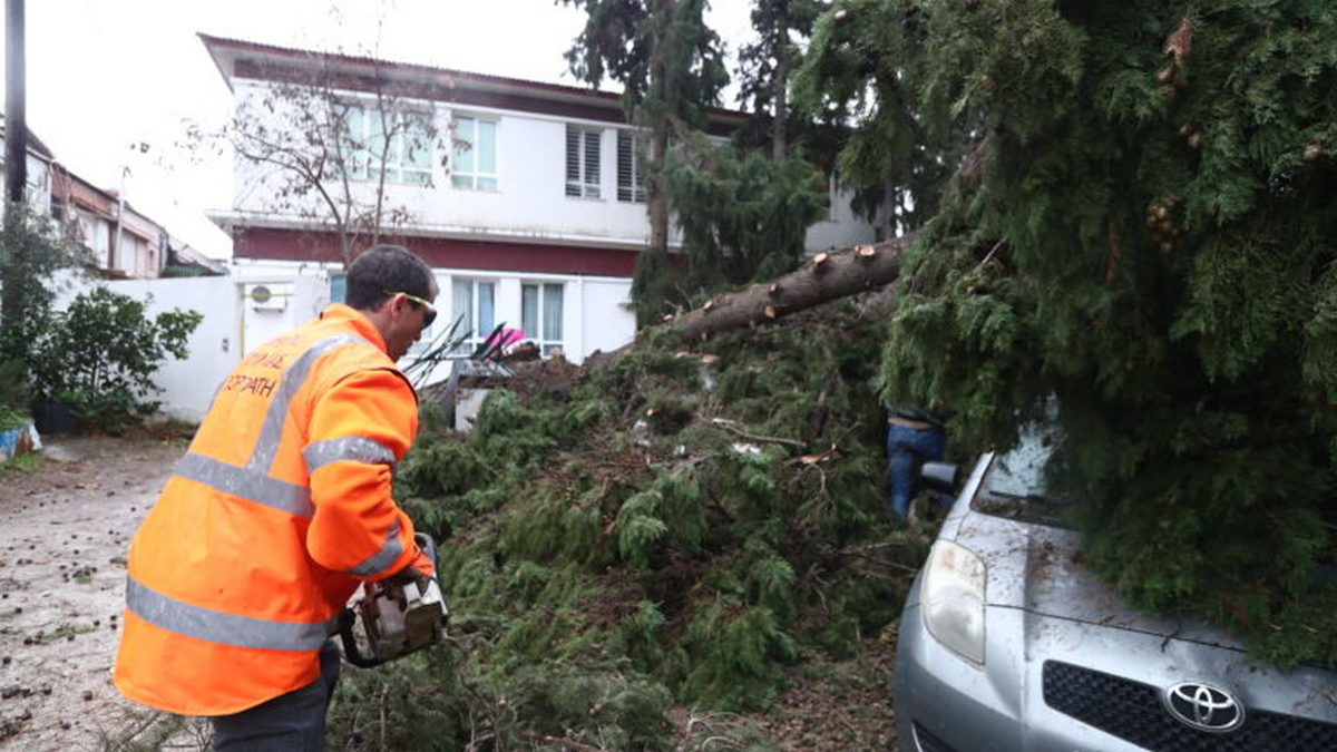 Κακοκαιρία στη Θεσσαλονίκη: Η στιγμή που ξεριζώνεται δέντρο από τους ισχυρούς ανέμους και πέφτει σε πάνω σε αυτοκίνητα