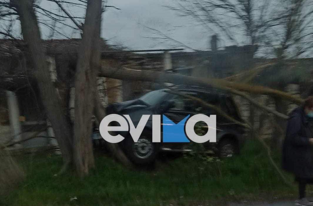 Εύβοια: Αυτοκίνητο καρφώθηκε σε δέντρο και το έκοψε στα δύο