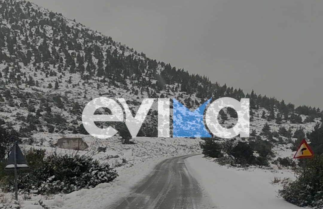 Κακοκαιρία «Avgi»: Στα λευκά τα ορεινά χωριά της Εύβοιας – Ποιοι δρόμοι είναι κλειστοί, πού χρειάζονται αλυσίδες