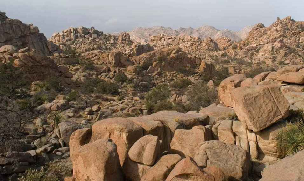 οπτική ψευδαίσθηση