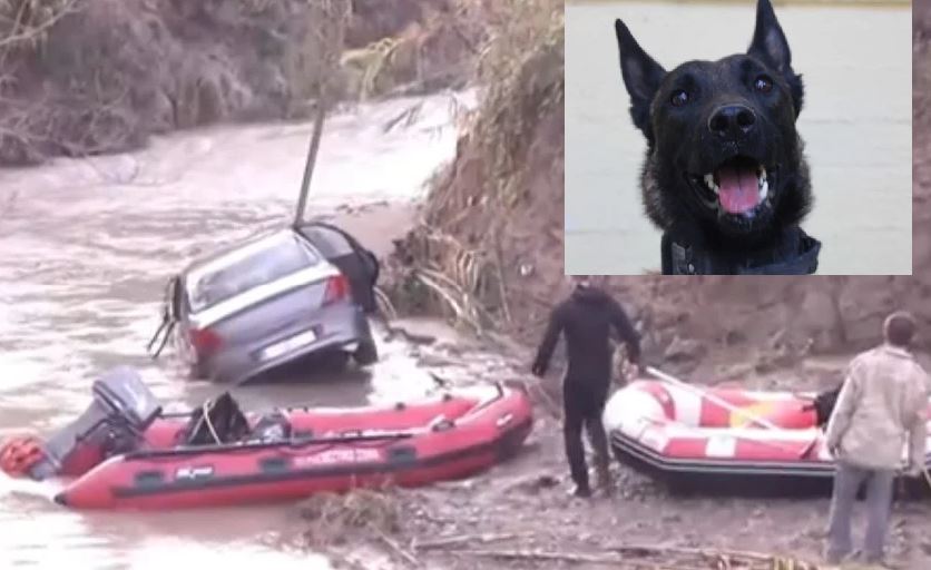 Ηλεία: Ο σκύλος που βρήκε τον Μπάμπη θα ψάξει για τον 45χρονο που παρασύρθηκε από τα ορμητικά νερά του χειμάρρου