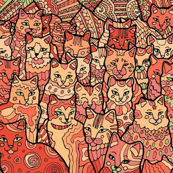 Οπτική ψευδαίσθηση γάτα