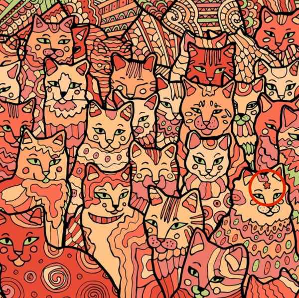 Οπτική ψευδαίσθηση γάτα