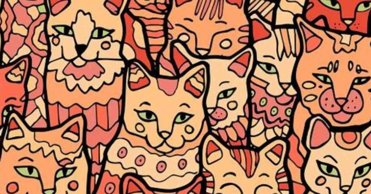 Οπτική ψευδαίσθηση γάτα