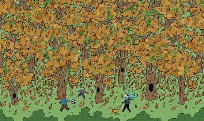 Οπτική ψευδαίσθηση σκιουράκι