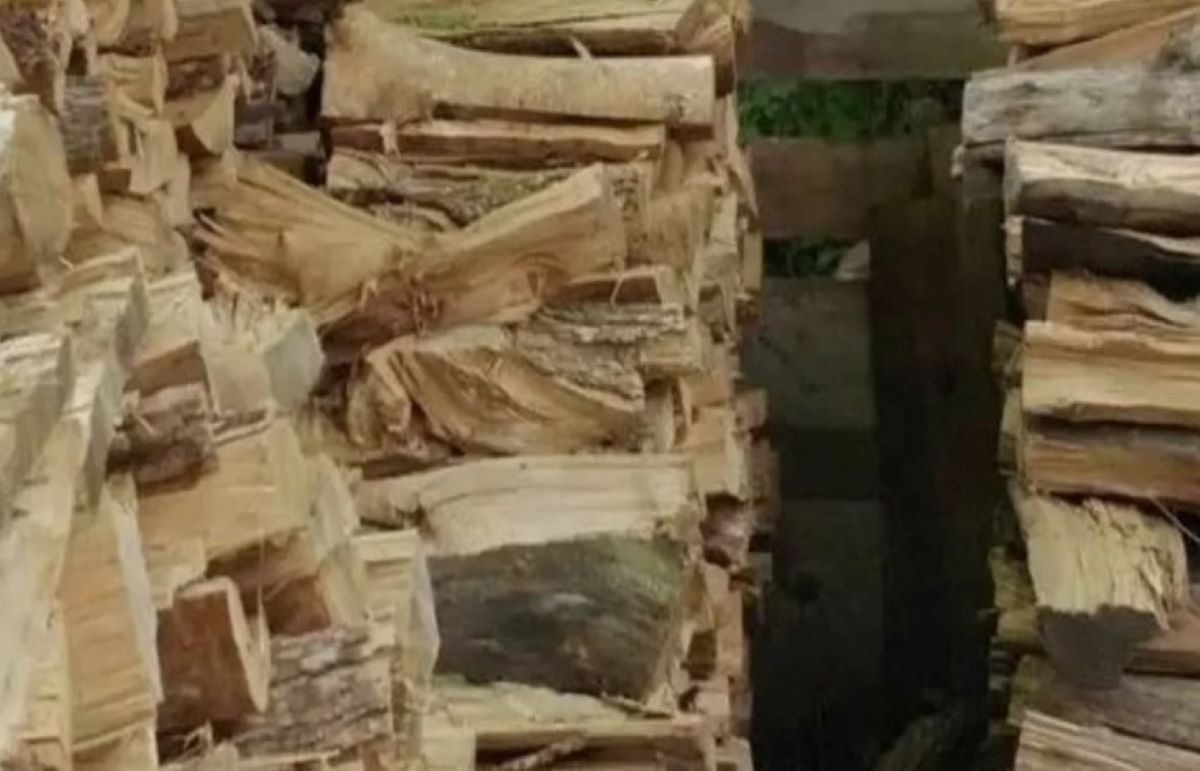 Οπτική ψευδαίσθηση: Θα δυσκολευτείτε να βρείτε την γάτα σε 13 δευτερόλεπτα