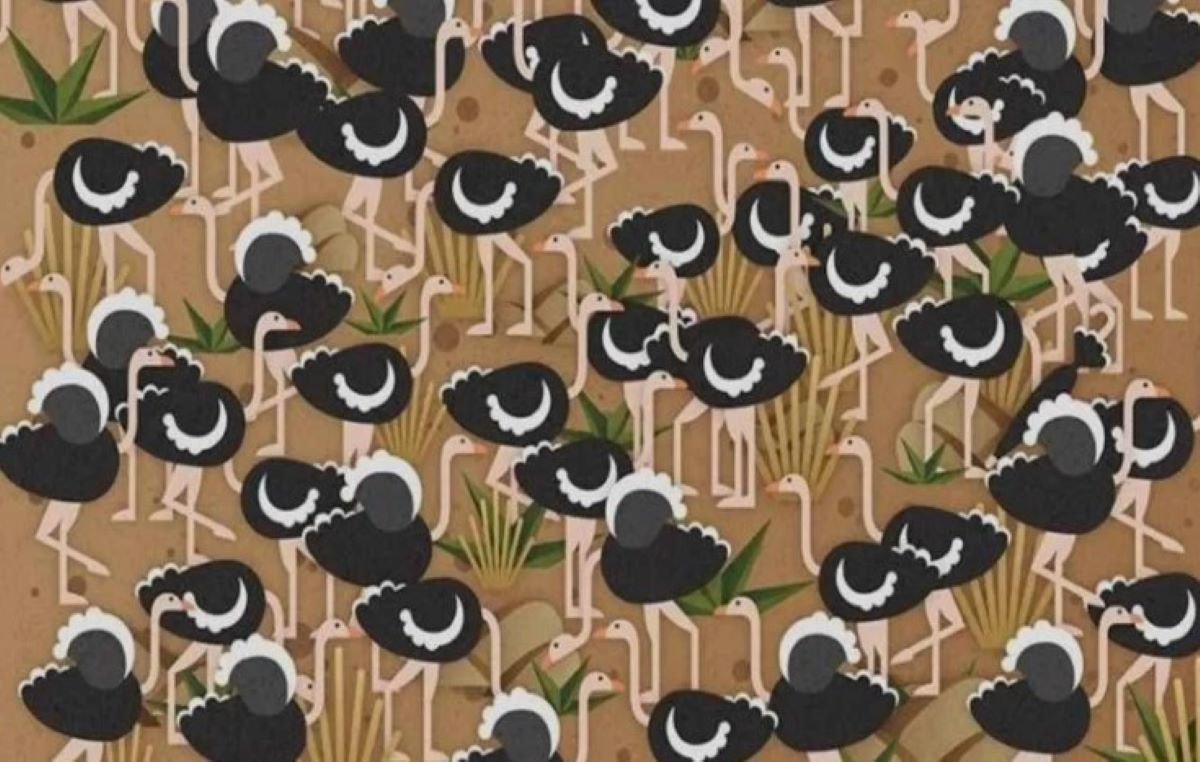 Οπτική ψευδαίσθηση: Μόνο οι πραγματικά παρατηρητικοί άνθρωποι βρίσκουν την ομπρέλα σε 8 δευτερόλεπτα