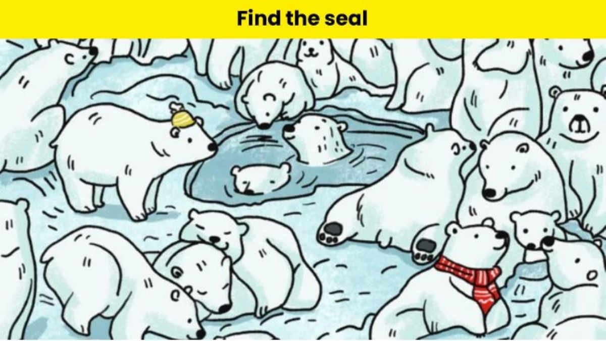 Οπτική ψευδαίσθηση: Μπορείτε να βρείτε την φώκια σε 5 δευτερόλεπτα;