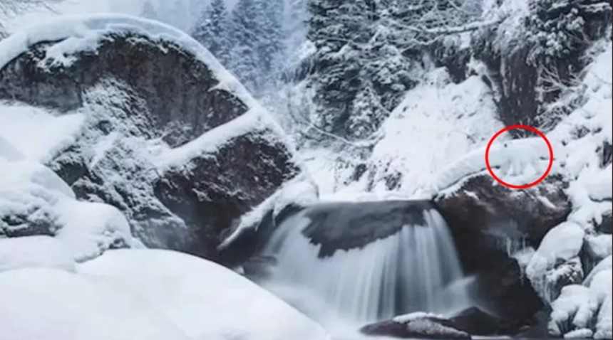 Οπτική ψευδαίσθηση